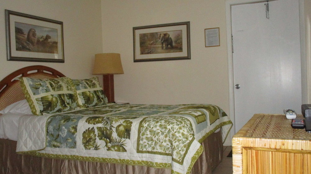 פומפנו ביץ' Seahorse Guesthouse מראה חיצוני תמונה