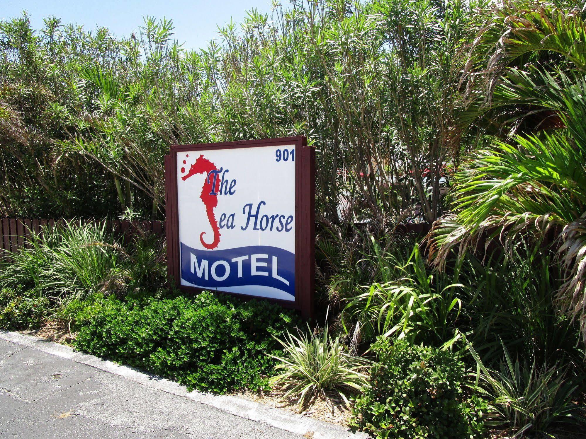 פומפנו ביץ' Seahorse Guesthouse מראה חיצוני תמונה