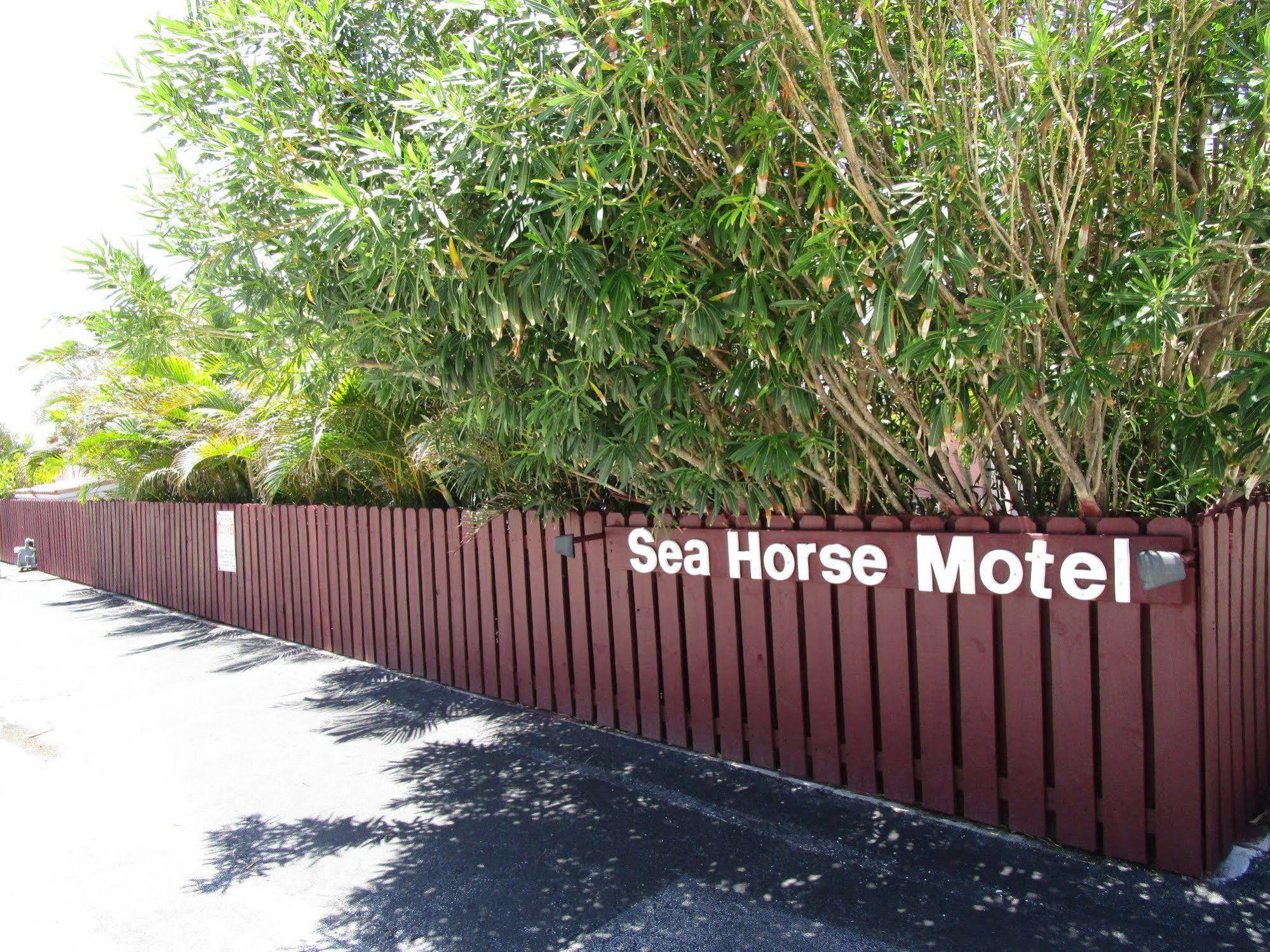 פומפנו ביץ' Seahorse Guesthouse מראה חיצוני תמונה